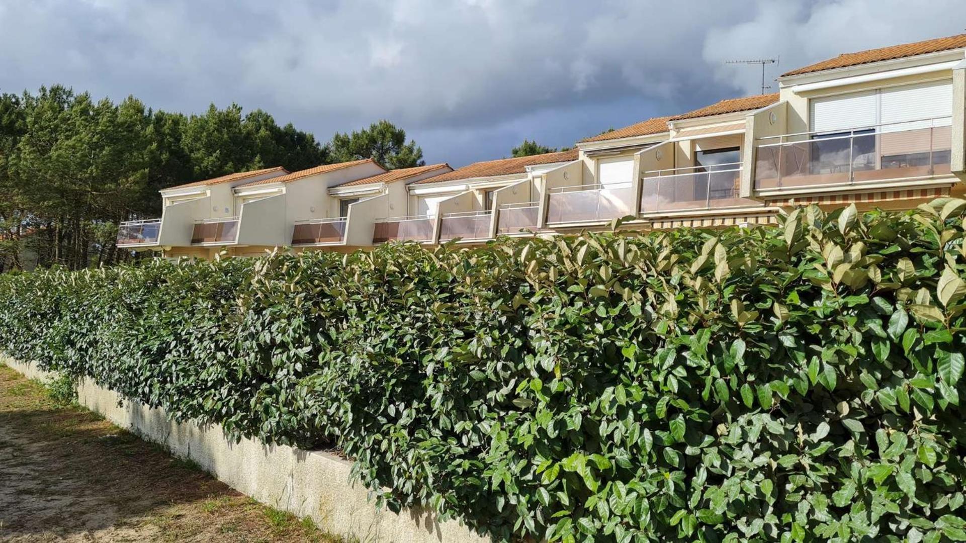 Saint Georges De Didonne - Vue Mer Pour Ce Studio Cosy En Rez-De-Chaussee Eksteriør billede